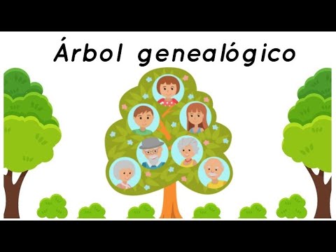 Arbol genealogico 3 primaria