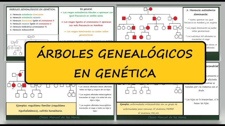 El Patrón del Árbol Genealógico: Importancia y Significado