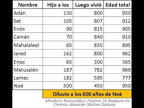 El árbol genealógico de Matusalén